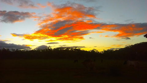 Ironbark House - Dalby Accommodation 32