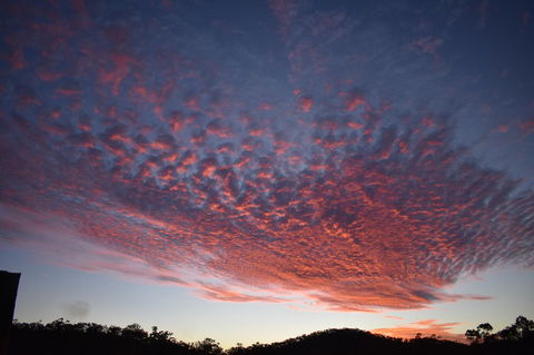 Ironbark House - Dalby Accommodation 6