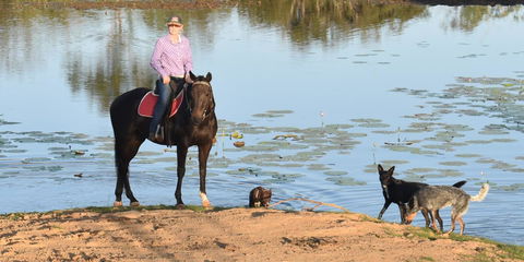 Ironbark House - Dalby Accommodation 39