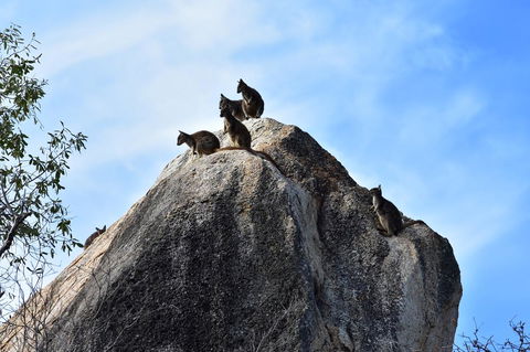 Ironbark House - Dalby Accommodation 38