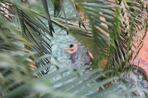 Coral Tree Inn - Dalby Accommodation 36