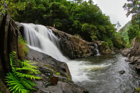 Coral Tree Inn - Dalby Accommodation 40