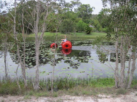 1770 Southern Cross Travellers Retreat - Dalby Accommodation 16