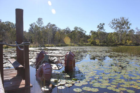 1770 Southern Cross Travellers Retreat - Dalby Accommodation 21