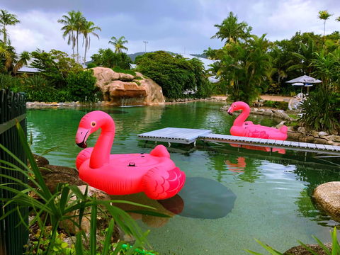 Cairns Colonial Club Resort - Dalby Accommodation 6