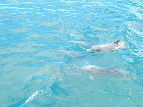 Superior Apartment In A Unique Resort - Dalby Accommodation 36