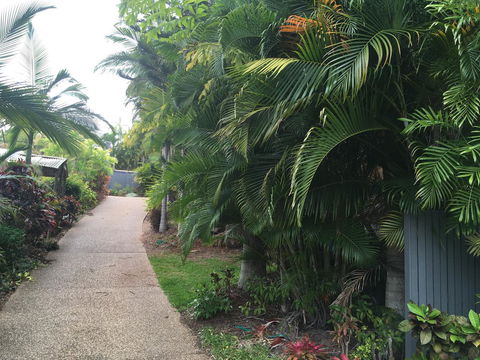 Casuarina - Dalby Accommodation 21