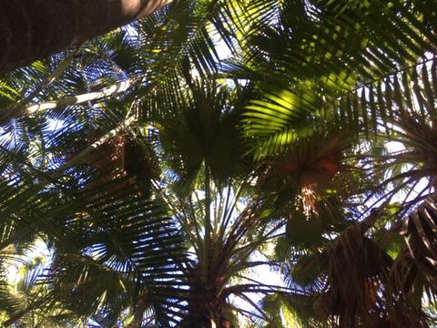 Casuarina - Dalby Accommodation 11