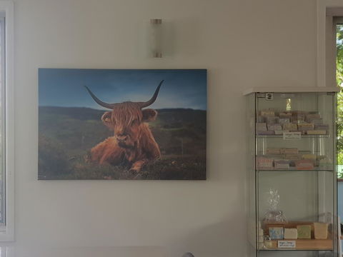 Highland House - Dalby Accommodation 4
