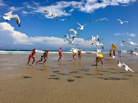 Hi Ho Beach Apartments On Broadbeach - Dalby Accommodation 31