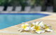 Hi Ho Beach Apartments On Broadbeach - thumb 2