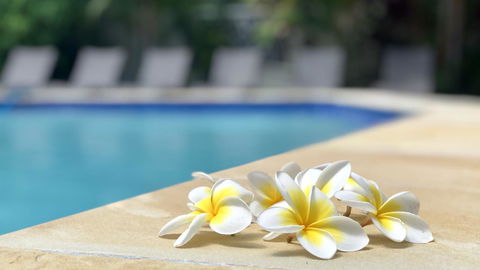 Hi Ho Beach Apartments On Broadbeach - Dalby Accommodation 2