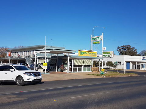 Wattle Tree Motel - Dalby Accommodation 0