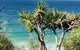Waves And White Horses Seaview Retreat (adults Only) - thumb 0