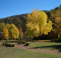 Willowlake Cottages - Dalby Accommodation