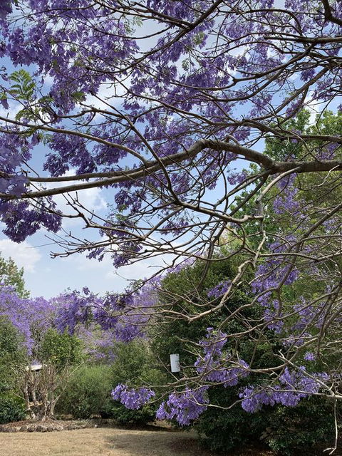 Wyndover Mountain Retreat - Dalby Accommodation 1