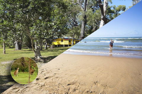 Yellow Cottage - Bush And Beach - Dalby Accommodation 0