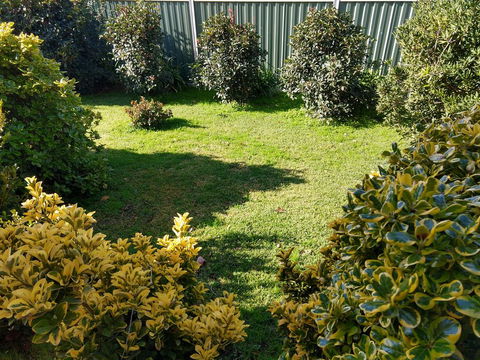 Young Goldrush Motel - Dalby Accommodation 3