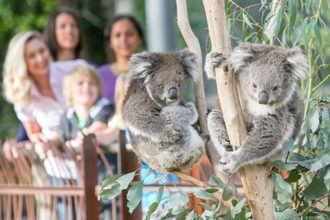 A 3BR Apt Next To Melbourne Zoo FREE Parking - Dalby Accommodation 2