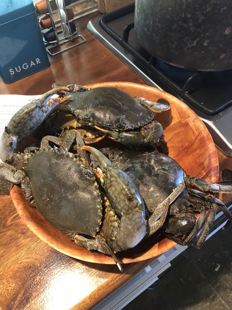 Cairns Beach House Our Oasis - Dalby Accommodation 4