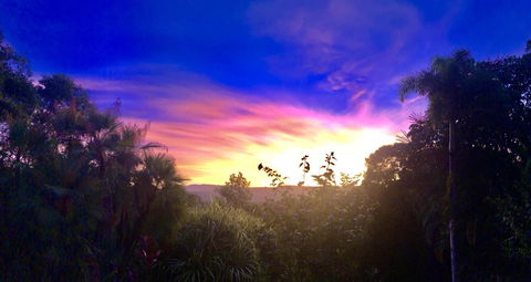 Daintree Manor B&B - Dalby Accommodation 3