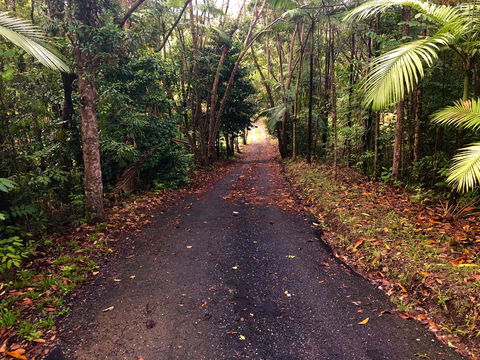 Daintree Manor B&B - Dalby Accommodation 12