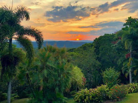 Daintree Manor B&B - Dalby Accommodation 13