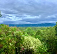 Daintree Manor BB - Dalby Accommodation