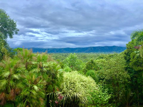 Daintree Manor B&B - Dalby Accommodation 0