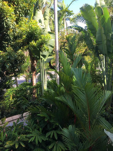 Port Douglas Apartments - Adults Only Oasis - Dalby Accommodation 1
