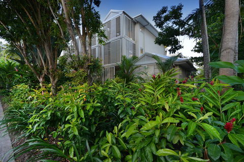 Port Douglas Apartments - Adults Only Oasis - Dalby Accommodation 3