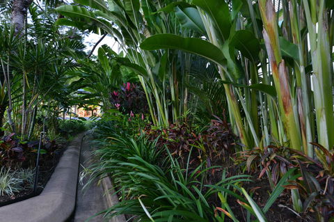 Port Douglas Apartments - Adults Only Oasis - Dalby Accommodation 9