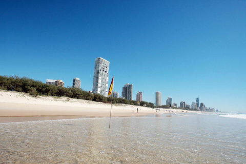 Oceana On Broadbeach - Dalby Accommodation 0