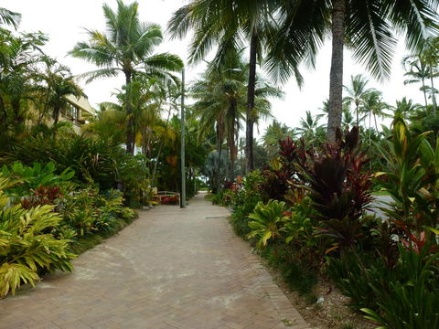 Martinique On Macrossan - Dalby Accommodation 22