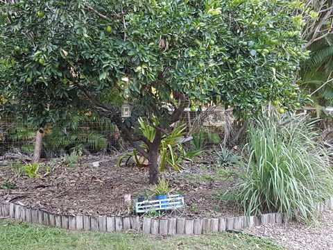 From Bush2Beach Holiday Home - Dalby Accommodation 42
