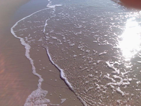 Enjoy The Sea Breezes From The Balcony - Boyd St, Woorim - Dalby Accommodation 2