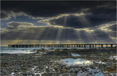 Baudins Accommodation And Restaurant - Dalby Accommodation 44