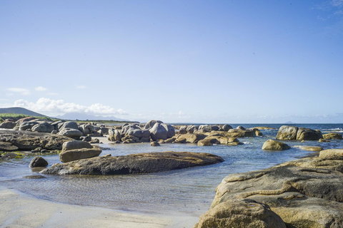 Sawyers Bay Shacks - Dalby Accommodation 6