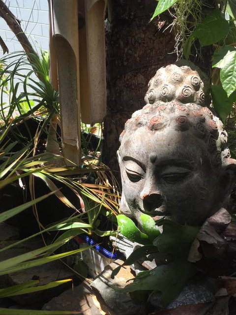 'Chez-Nous' - Two Bedroom Apartment - Dalby Accommodation 2