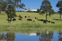 Book Nabiac Accommodation Vacations Dalby Accommodation Dalby Accommodation
