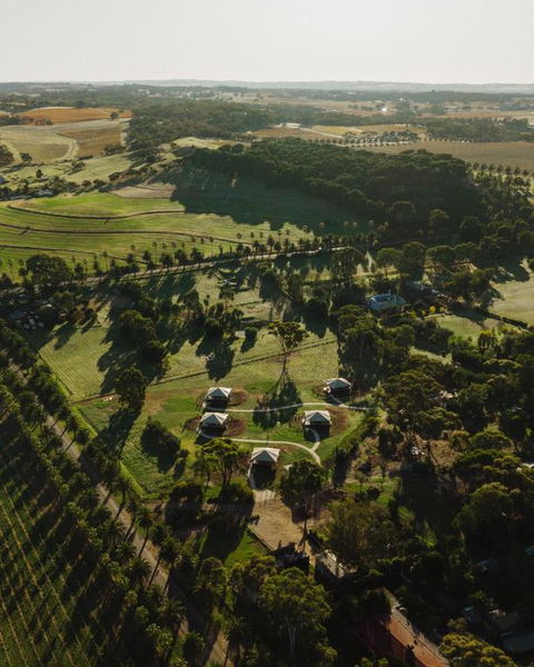 CANVS By CABN Seppeltsfield Barossa - Dalby Accommodation 1