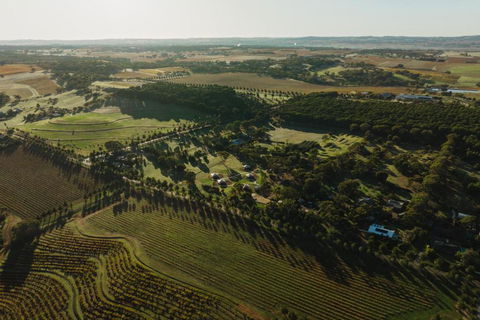 CANVS By CABN Seppeltsfield Barossa - Dalby Accommodation 2