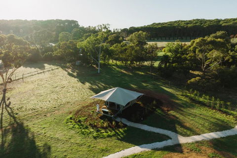 CANVS By CABN Seppeltsfield Barossa - Dalby Accommodation 0