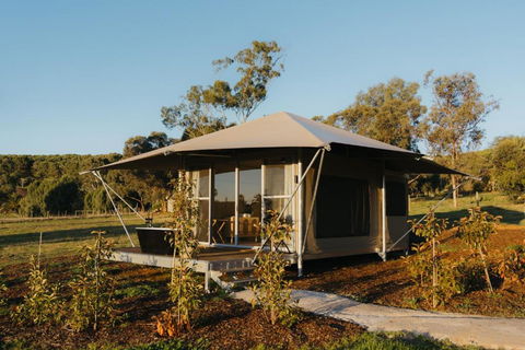 CANVS By CABN Seppeltsfield Barossa - Dalby Accommodation 3