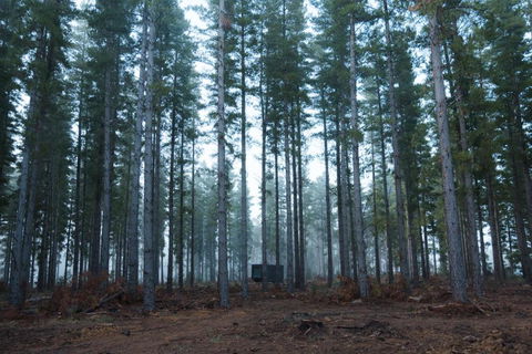 CABN Kuitpo Forest - Dalby Accommodation 2