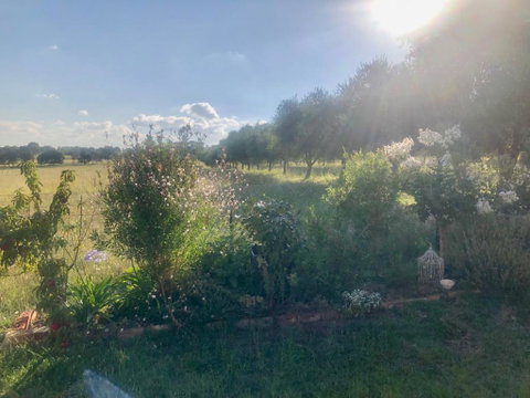 Danara Cottage - Dalby Accommodation 1