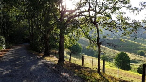 Dayboro Cottages - Dalby Accommodation 1