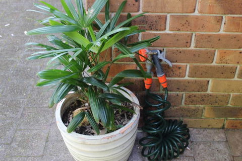 3 MELALEUCA - Dalby Accommodation 2