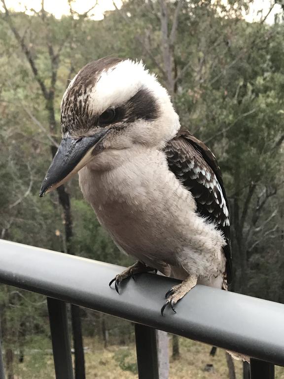 Tallebudgera Valley QLD Dalby Accommodation