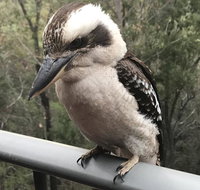 424 Trees - Dalby Accommodation